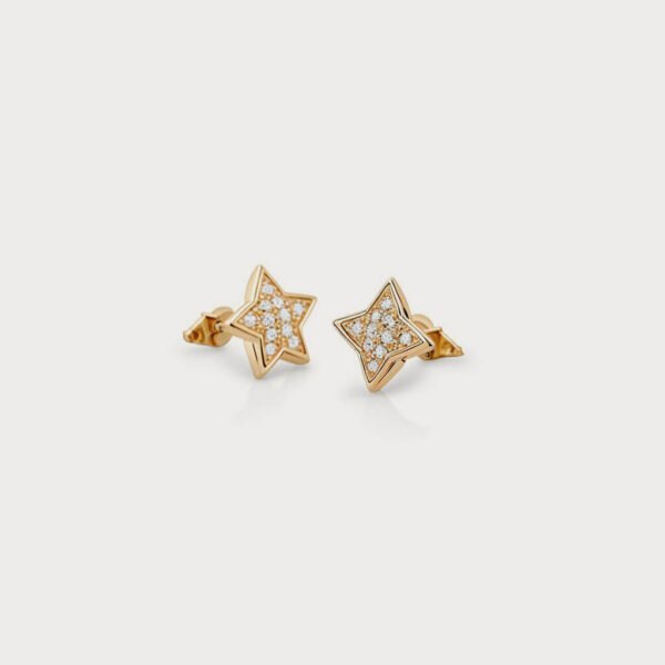 shop48-product6 (2) Earring